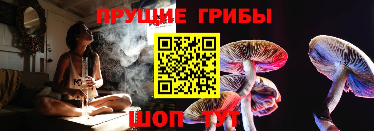 продажа наркотиков  Галлюциногенные грибы Psilocybe  Вход с VPN  Беслан 